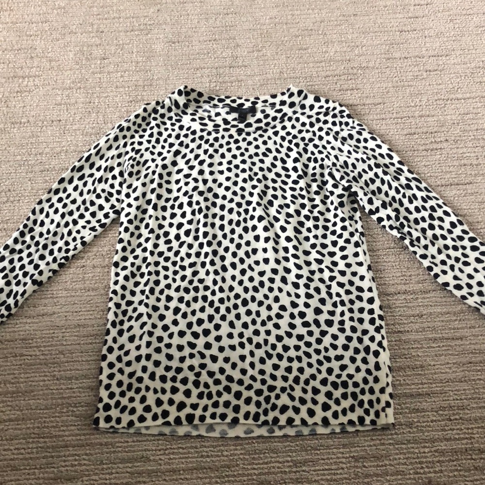 J Crew Patterned Light Sweater
